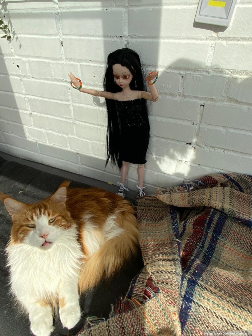 Fashion Dolls 62 — Куклы Звезды подиума (Angel Collection): шарнирные (фото 9)