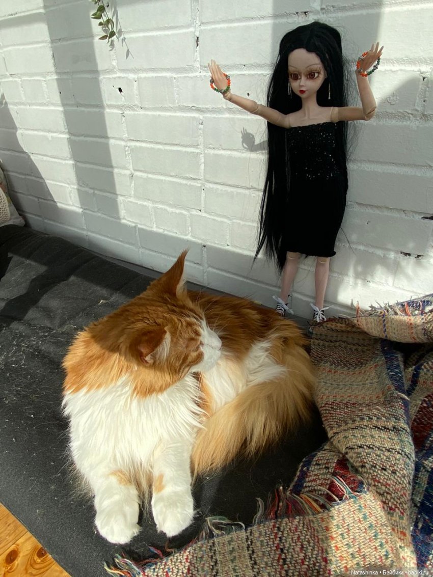 Fashion Dolls 62 — Куклы Звезды подиума (Angel Collection): шарнирные (фото 10)