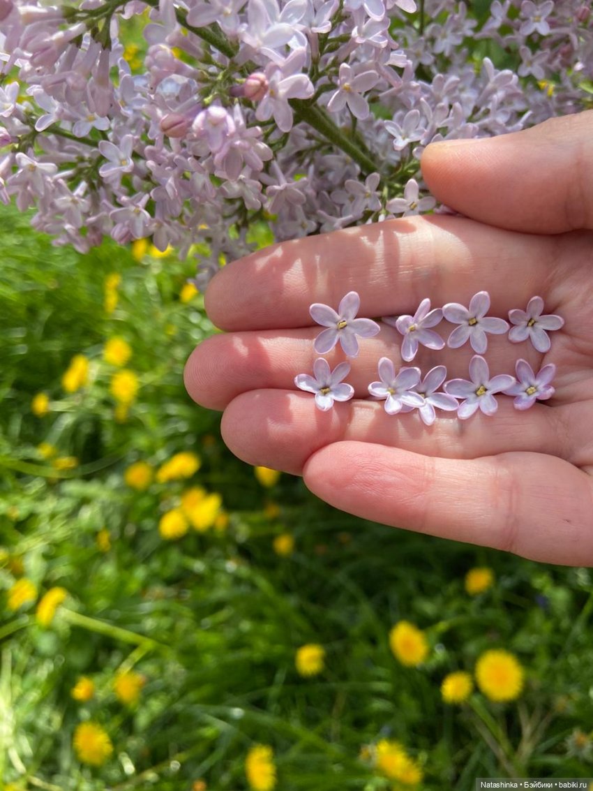 Fashion Dolls 64 — Куклы Звезды подиума (Angel Collection): шарнирные (фото 7)