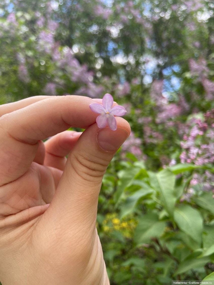 Fashion Dolls 64 — Куклы Звезды подиума (Angel Collection): шарнирные (фото 6)