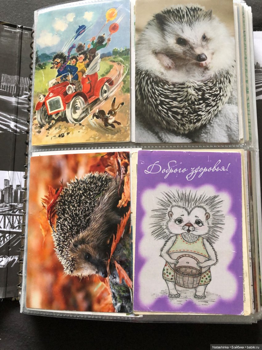 Fashion Dolls 66 — Куклы Звезды подиума (Angel Collection): шарнирные (фото 10)