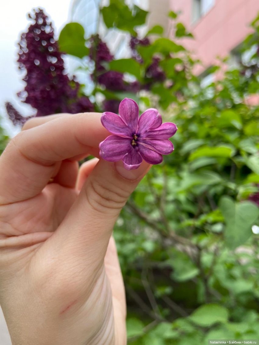 Fashion Dolls 67 — Куклы Звезды подиума (Angel Collection): шарнирные