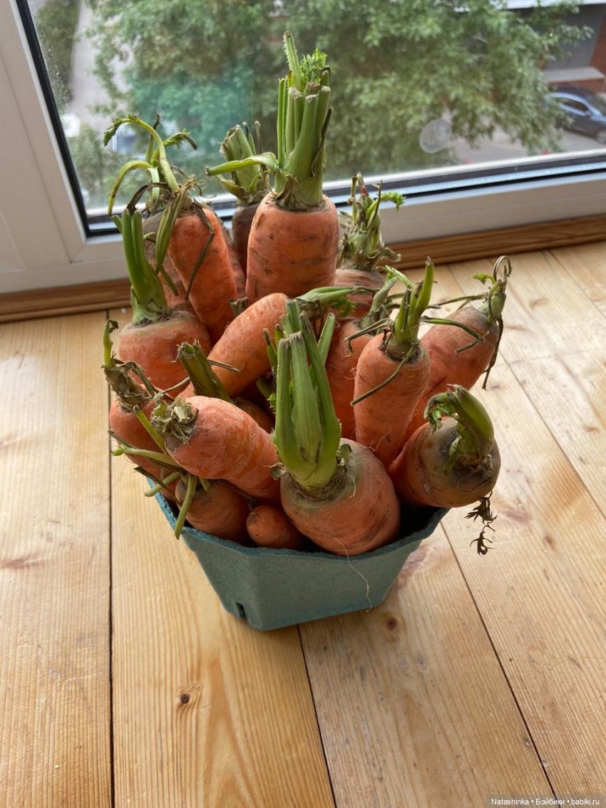 Fashion Dolls 67 — Куклы Звезды подиума (Angel Collection): шарнирные