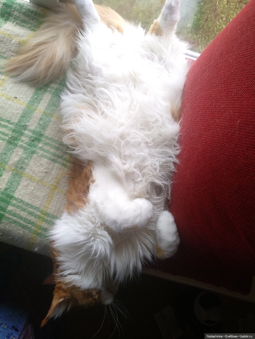 Fashion Dolls 67 — Куклы Звезды подиума (Angel Collection): шарнирные (фото 2)