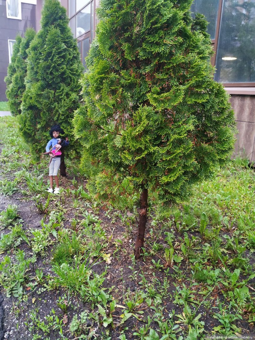 Fashion Dolls 69 — Куклы Звезды подиума (Angel Collection): шарнирные