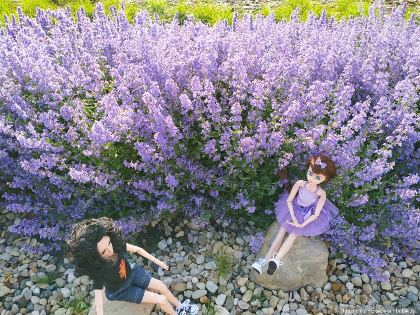 Fashion Dolls 77 — Куклы Звезды подиума (Angel Collection): шарнирные (фото 8)