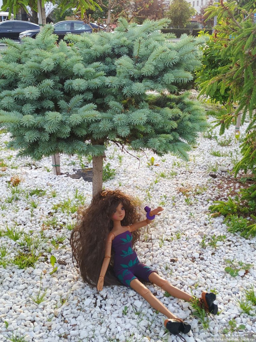 Fashion Dolls 78 — Куклы Звезды подиума (Angel Collection): шарнирные (фото 2)