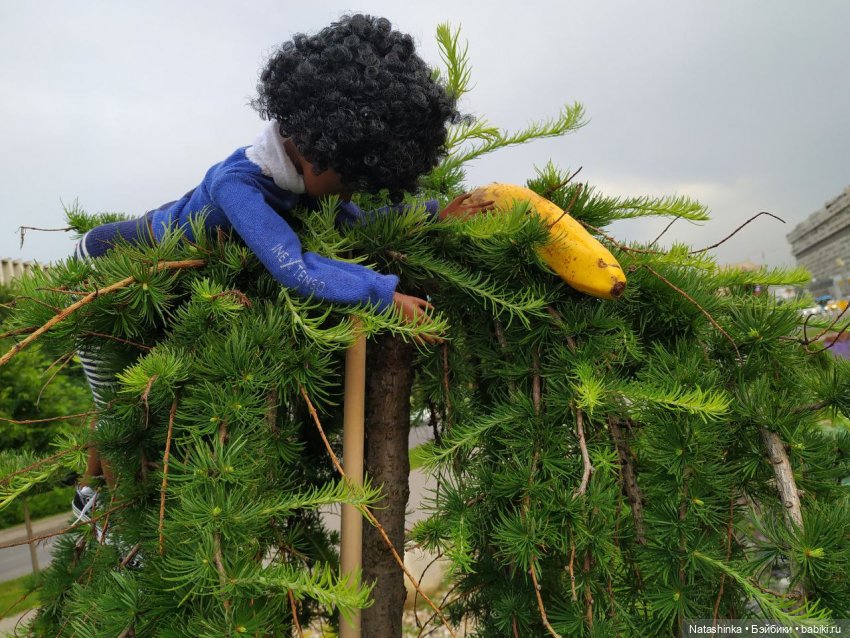 Fashion Dolls 80 — Куклы Звезды подиума (Angel Collection): шарнирные (фото 5)