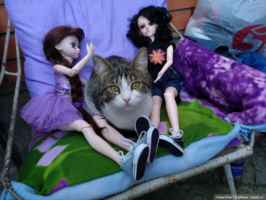 Fashion Dolls 84 — Куклы Звезды подиума (Angel Collection): шарнирные (фото 6)