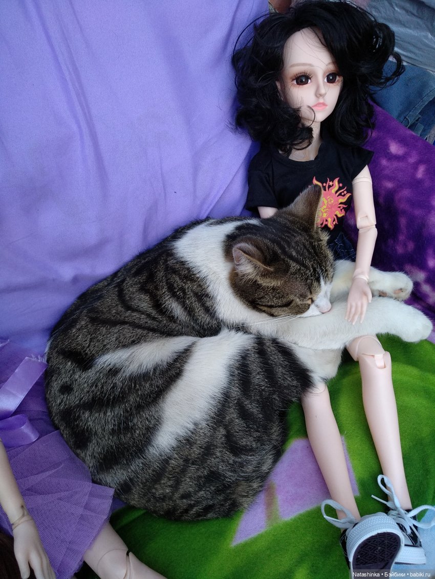 Fashion Dolls 84 — Куклы Звезды подиума (Angel Collection): шарнирные (фото 8)