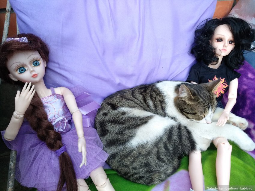 Fashion Dolls 84 — Куклы Звезды подиума (Angel Collection): шарнирные (фото 7)