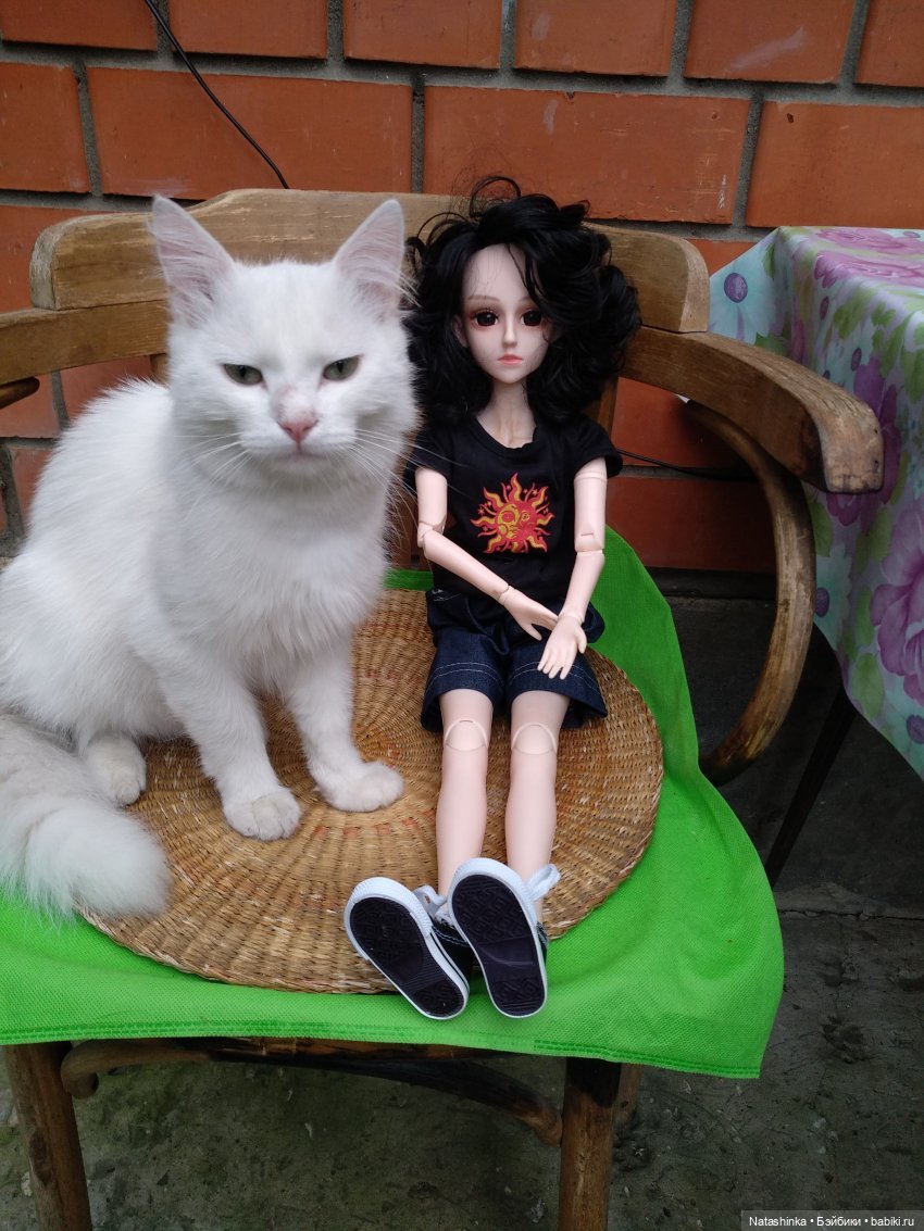 Fashion Dolls 85 — Куклы Звезды подиума (Angel Collection): шарнирные (фото 5)