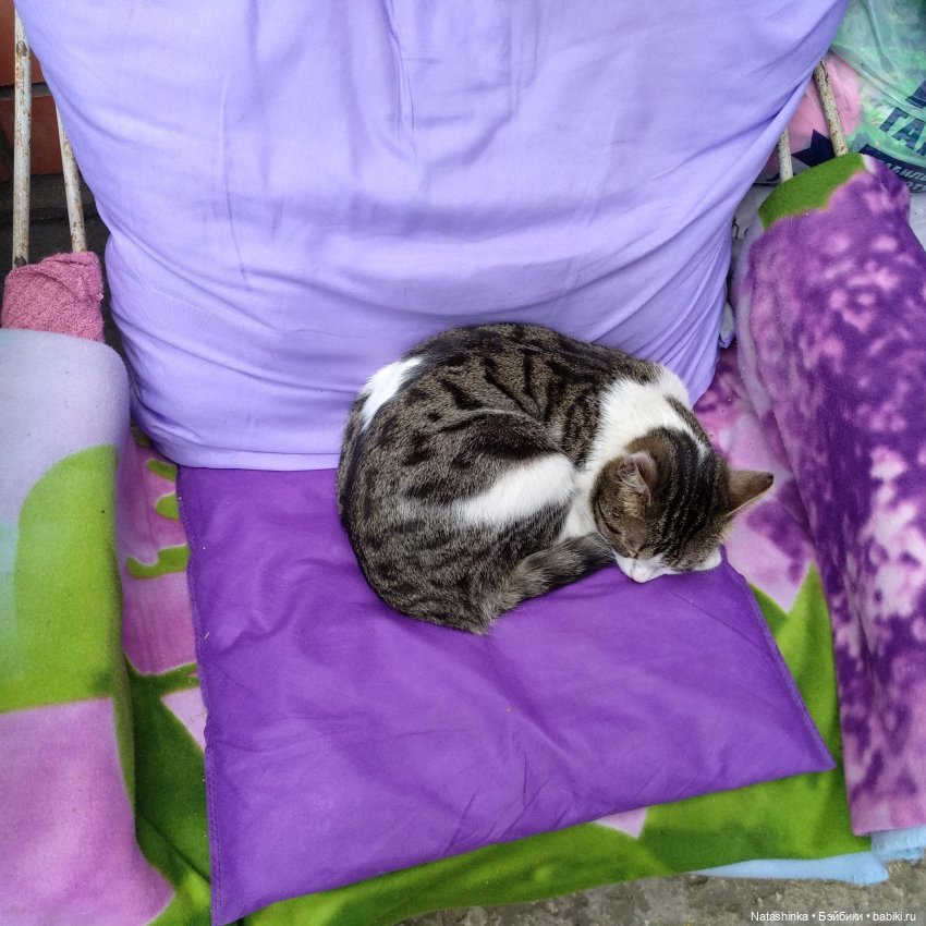 Fashion Dolls 86 — Куклы Звезды подиума (Angel Collection): шарнирные