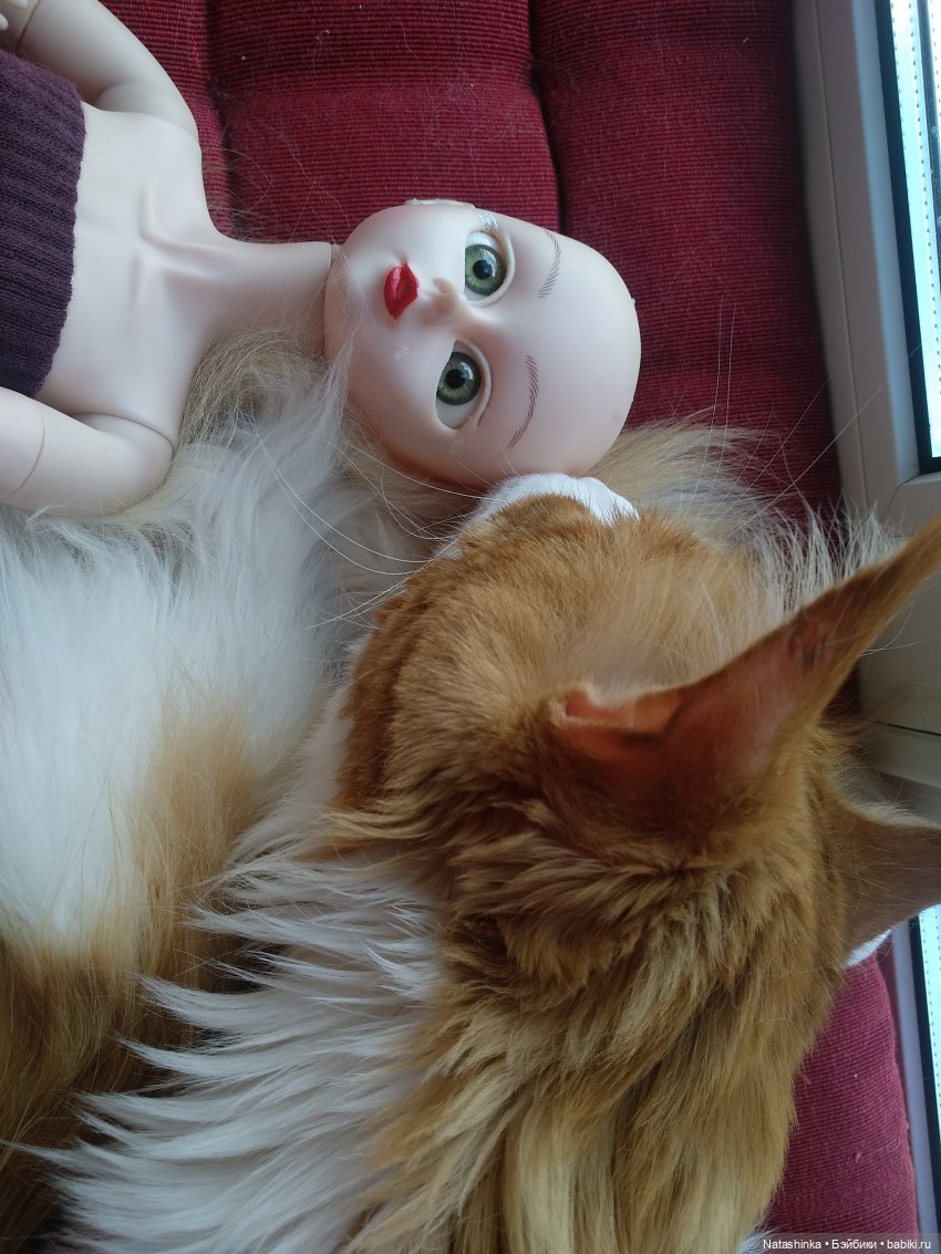 Fashion Dolls 92 — Куклы Звезды подиума (Angel Collection): шарнирные (фото 2)