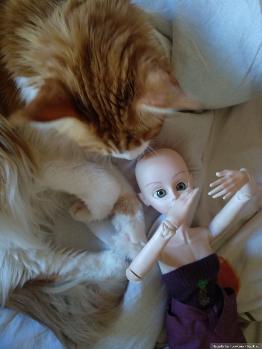 Fashion Dolls 92 — Куклы Звезды подиума (Angel Collection): шарнирные