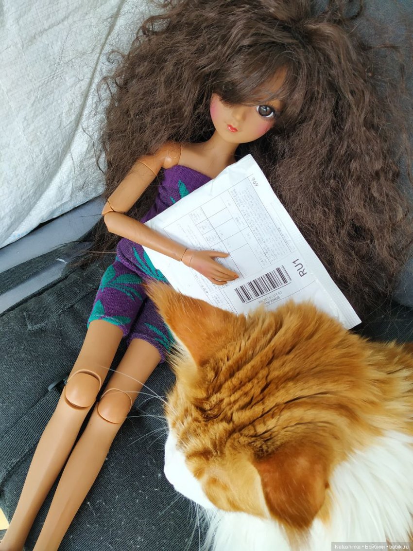 Fashion Dolls 98 — Куклы Звезды подиума (Angel Collection): шарнирные (фото 6)