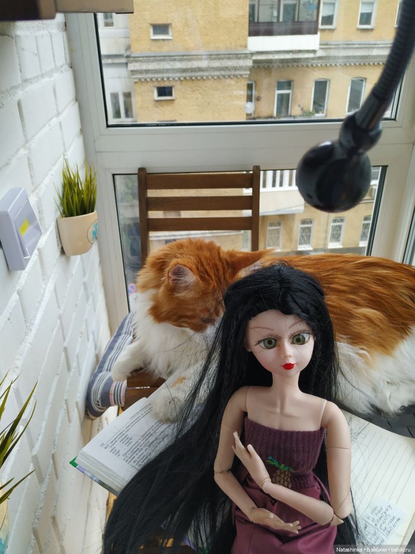 Fashion Dolls 98 — Куклы Звезды подиума (Angel Collection): шарнирные (фото 2)