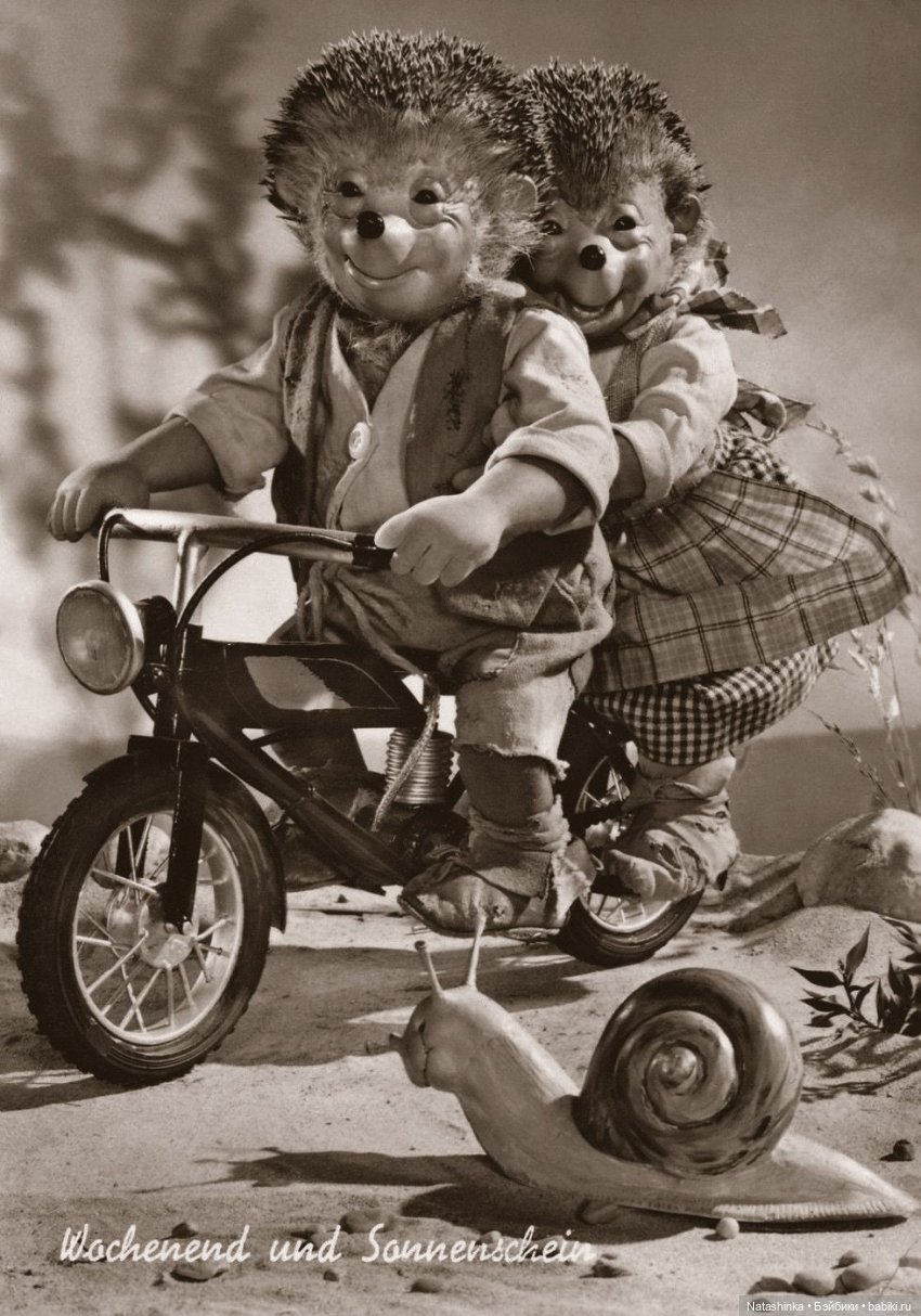 Fashion Dolls Лесная Сказка( 4)