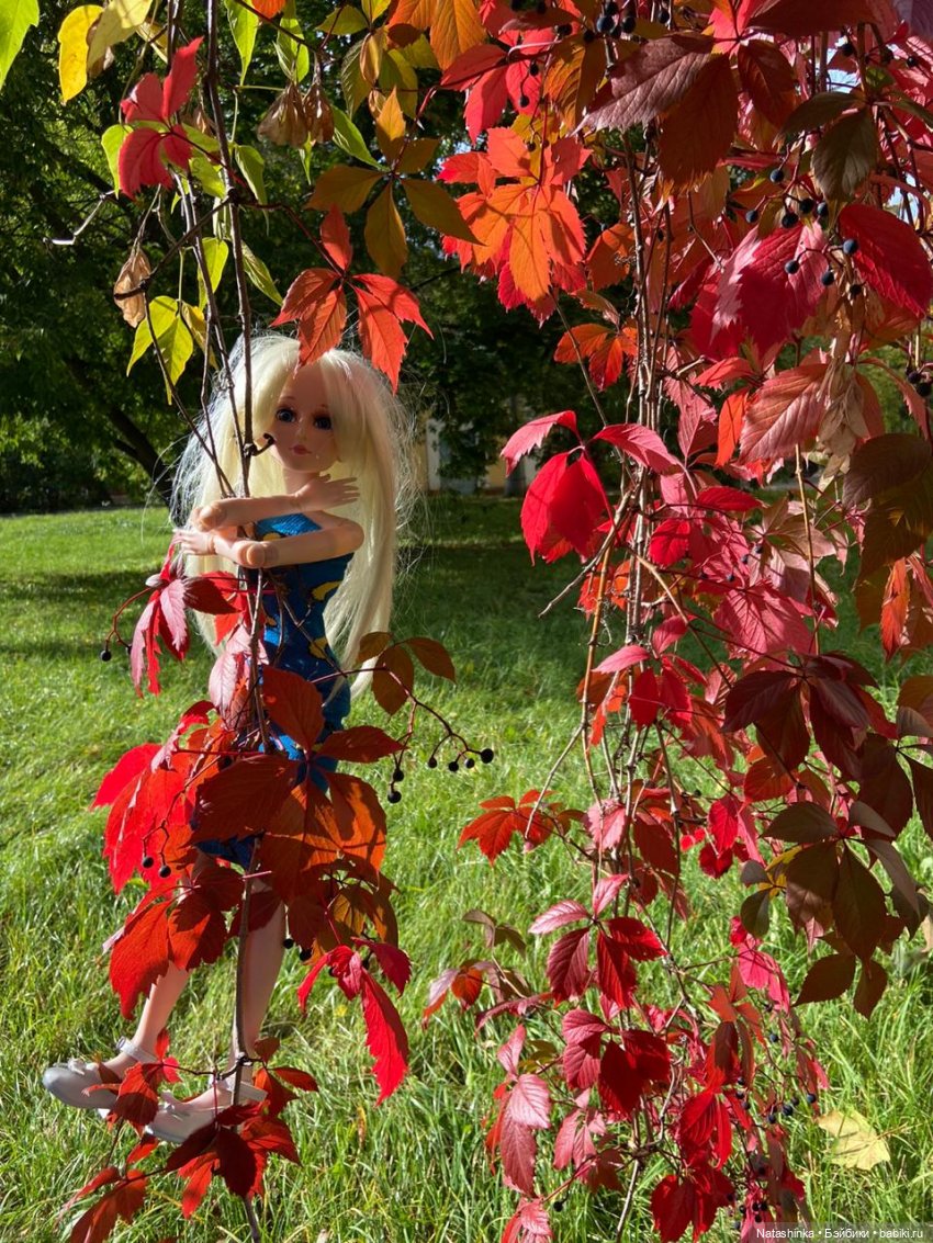 Fashion Dolls 111 — Куклы Звезды подиума (Angel Collection): шарнирные