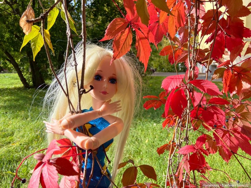 Fashion Dolls 111 — Куклы Звезды подиума (Angel Collection): шарнирные