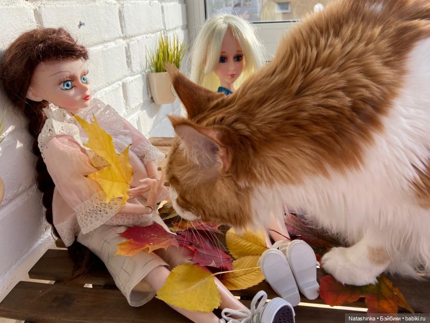 Fashion Dolls 111 — Куклы Звезды подиума (Angel Collection): шарнирные