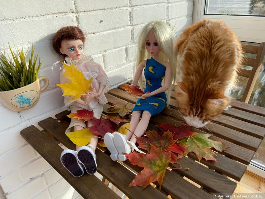 Fashion Dolls 111 — Куклы Звезды подиума (Angel Collection): шарнирные