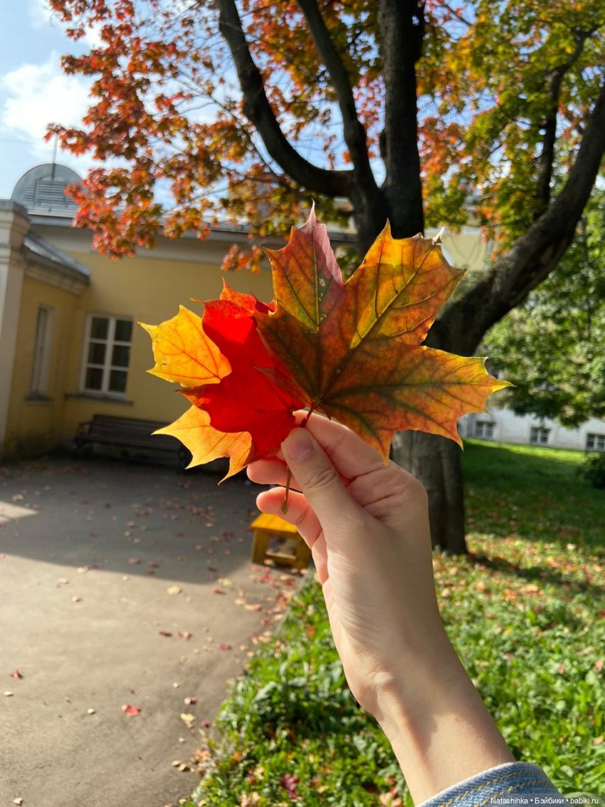 Fashion Dolls 111 — Куклы Звезды подиума (Angel Collection): шарнирные