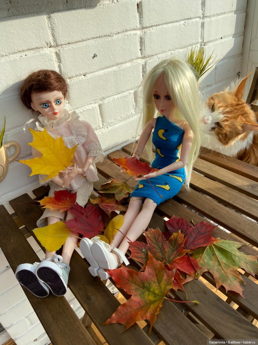 Fashion Dolls 111 — Куклы Звезды подиума (Angel Collection): шарнирные