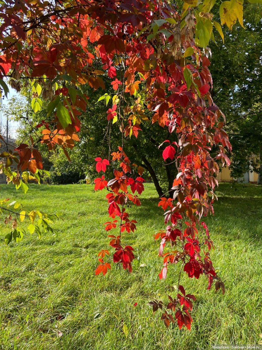 Fashion Dolls 111 — Куклы Звезды подиума (Angel Collection): шарнирные