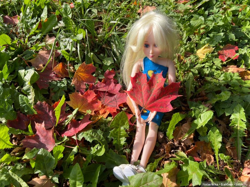 Fashion Dolls 111 — Куклы Звезды подиума (Angel Collection): шарнирные