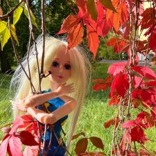 Fashion Dolls 111