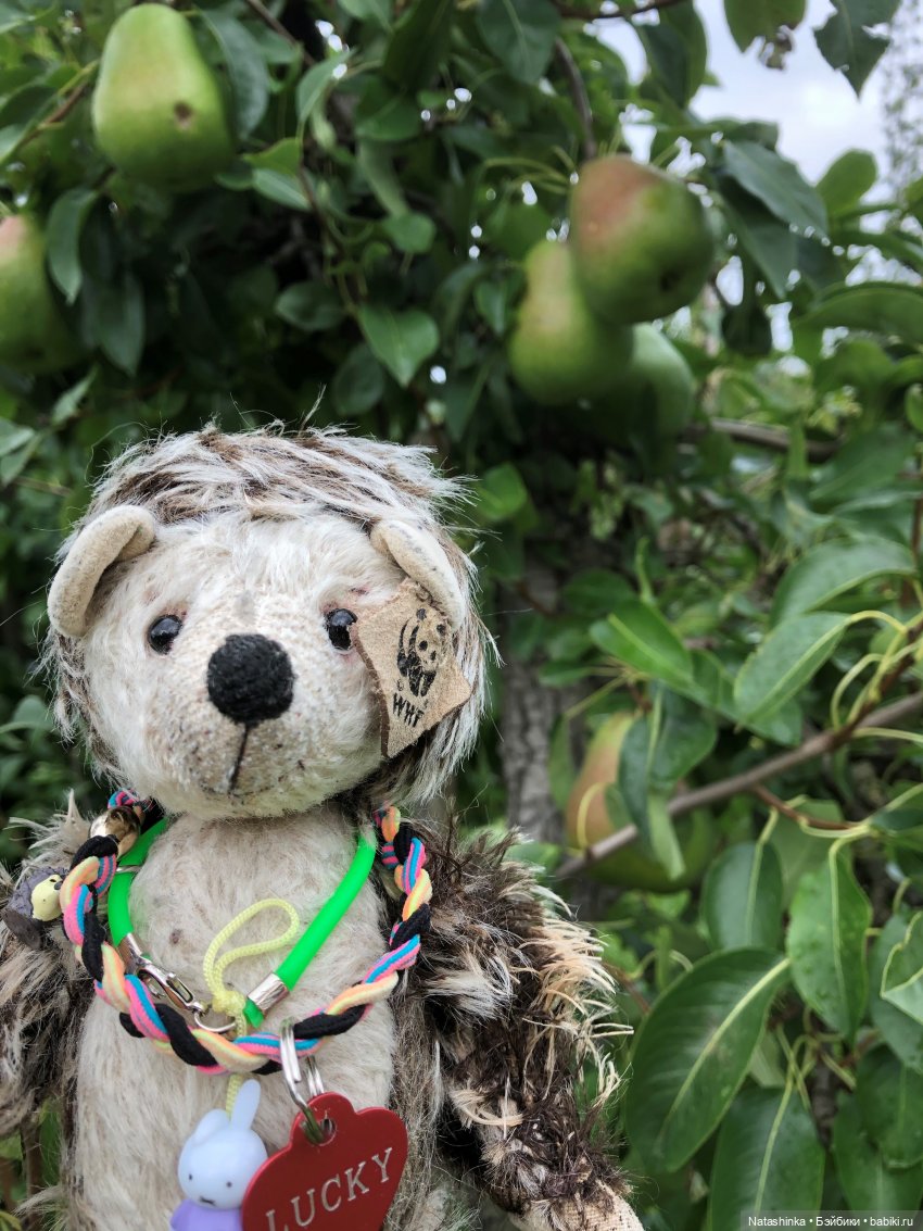 Fashion Dolls 112 — Куклы Звезды подиума (Angel Collection): шарнирные (фото 4)