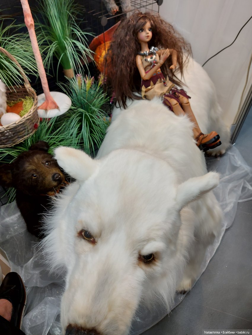 Салон кукол 2020. Fashion Dolls115