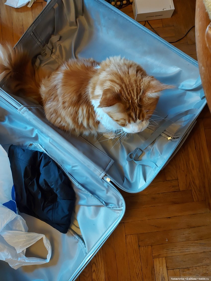 Fashion Dolls119 — Куклы Звезды подиума (Angel Collection): шарнирные