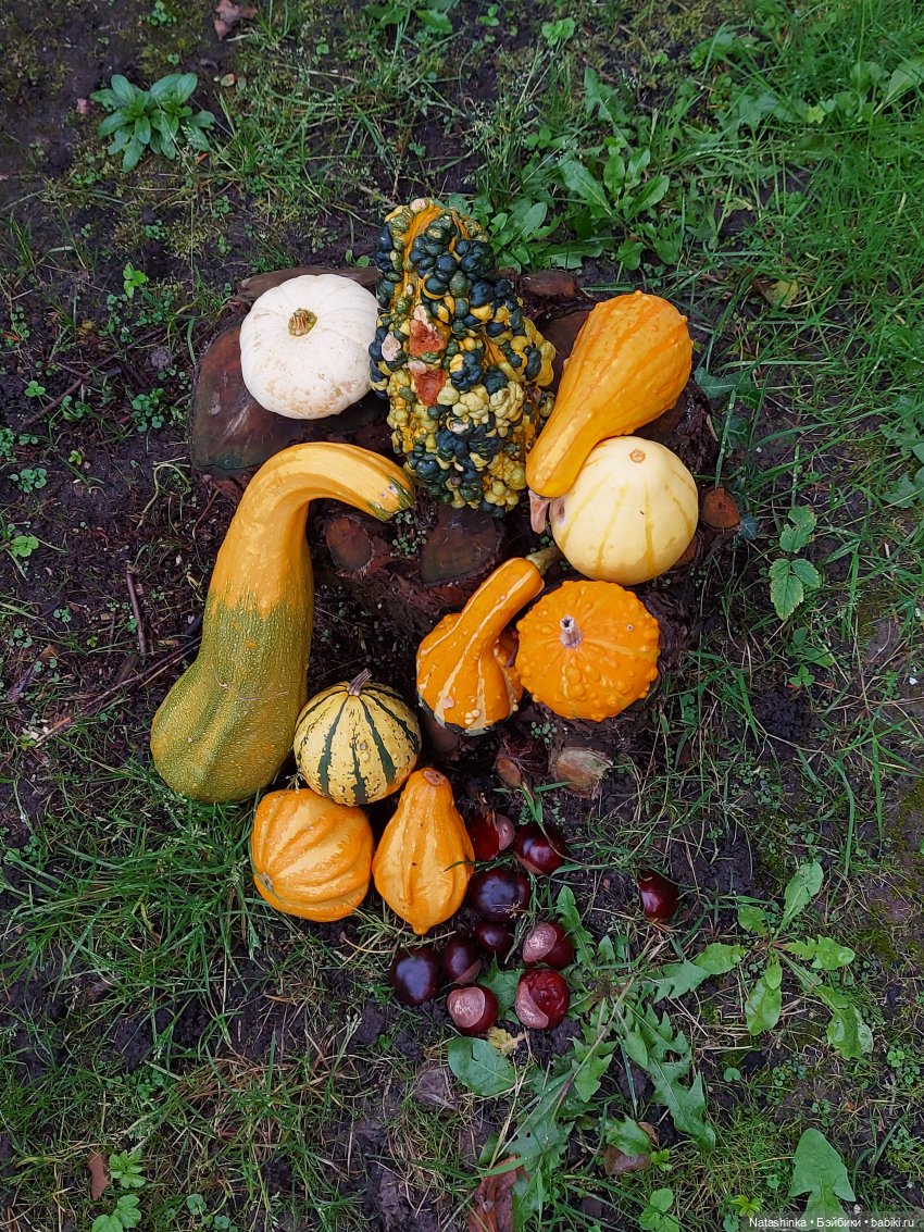 Fashion Dolls122 — Куклы Звезды подиума (Angel Collection): шарнирные