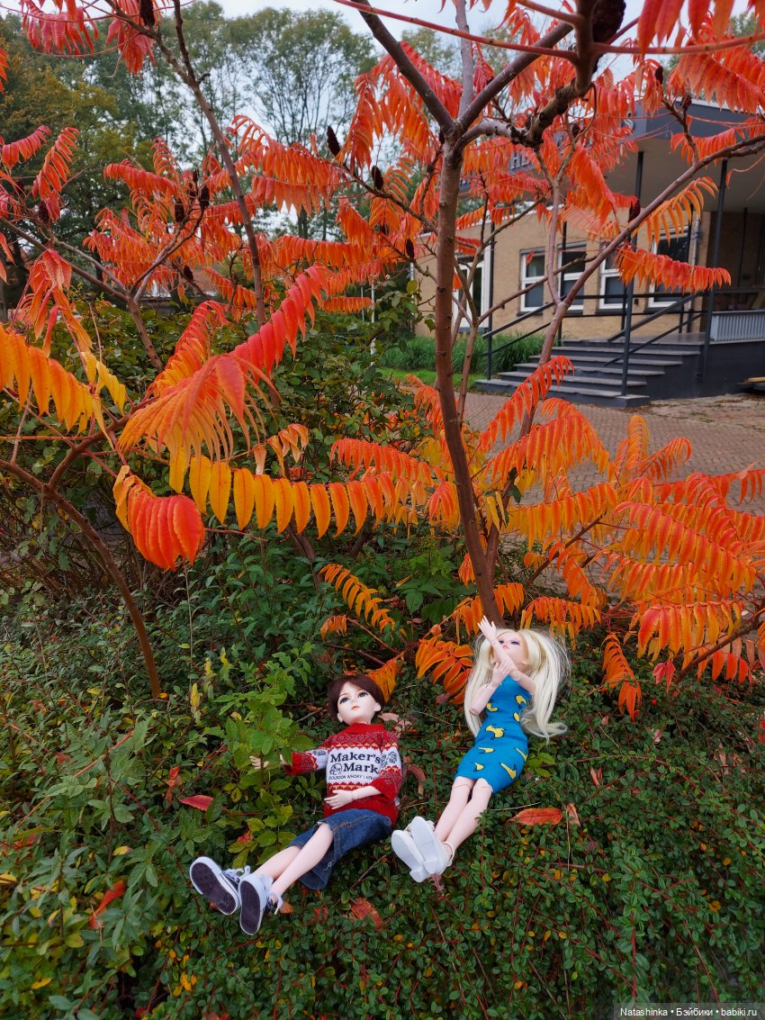 Fashion Dolls122 — Куклы Звезды подиума (Angel Collection): шарнирные