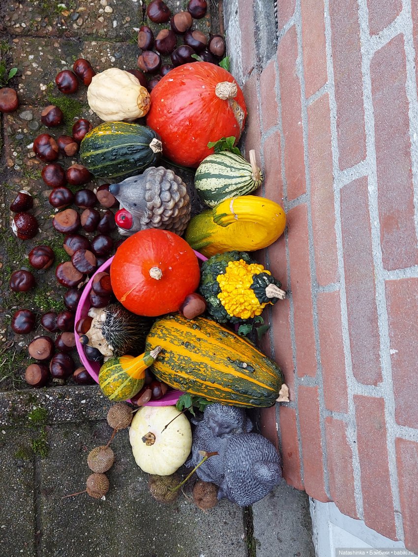 Fashion Dolls122 — Куклы Звезды подиума (Angel Collection): шарнирные