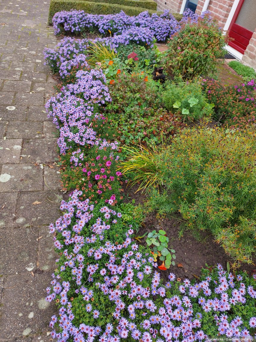 Fashion Dolls122 — Куклы Звезды подиума (Angel Collection): шарнирные