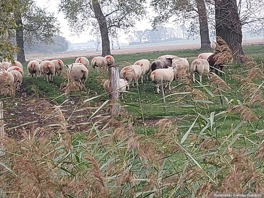 Fashion Dolls122 — Куклы Звезды подиума (Angel Collection): шарнирные