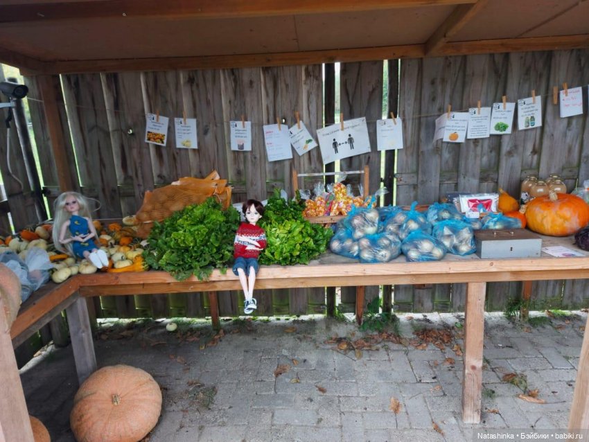 Fashion Dolls123 — Куклы Звезды подиума (Angel Collection): шарнирные (фото 10)