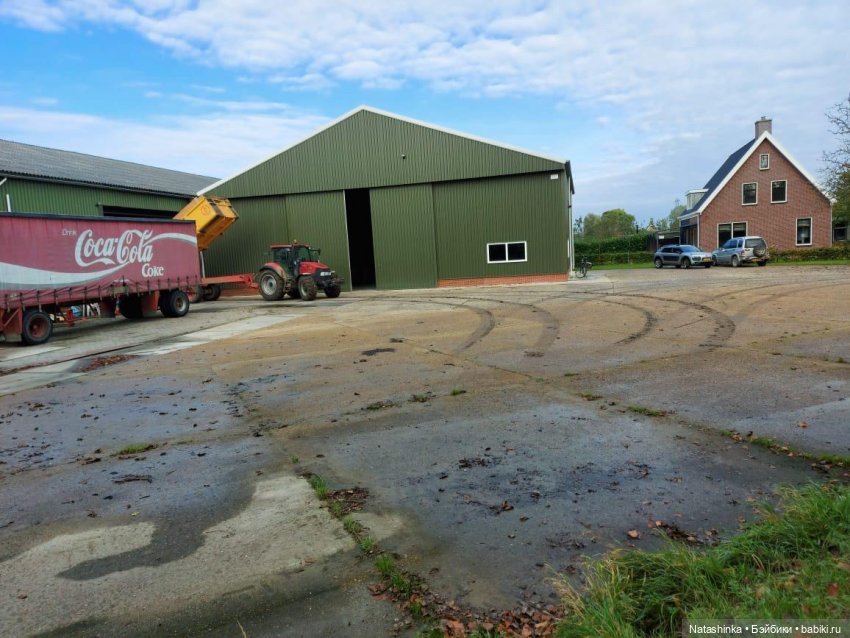 Fashion Dolls123 — Куклы Звезды подиума (Angel Collection): шарнирные (фото 5)