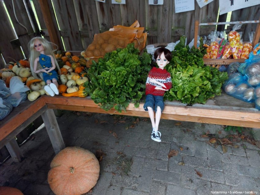 Fashion Dolls123 — Куклы Звезды подиума (Angel Collection): шарнирные