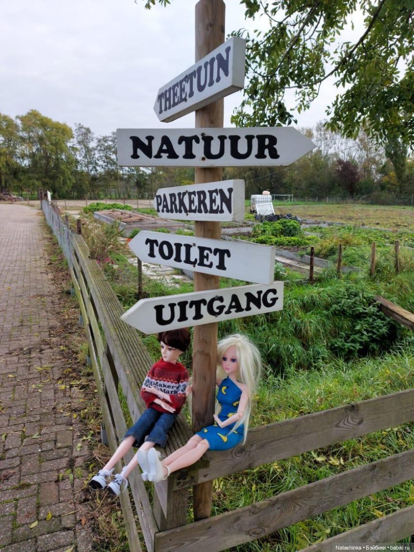 Fashion Dolls123 — Куклы Звезды подиума (Angel Collection): шарнирные (фото 6)