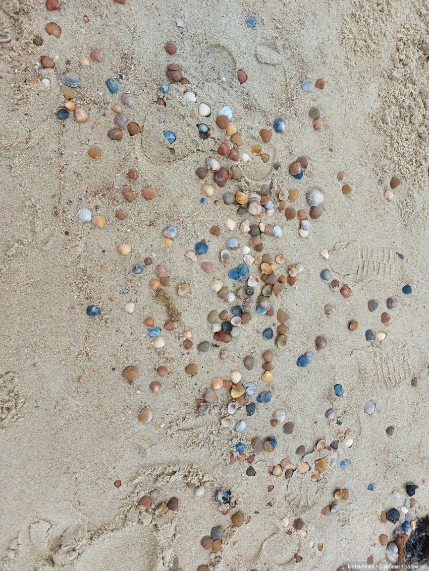 Fashion Dolls 125 — Куклы Звезды подиума (Angel Collection): шарнирные (фото 5)