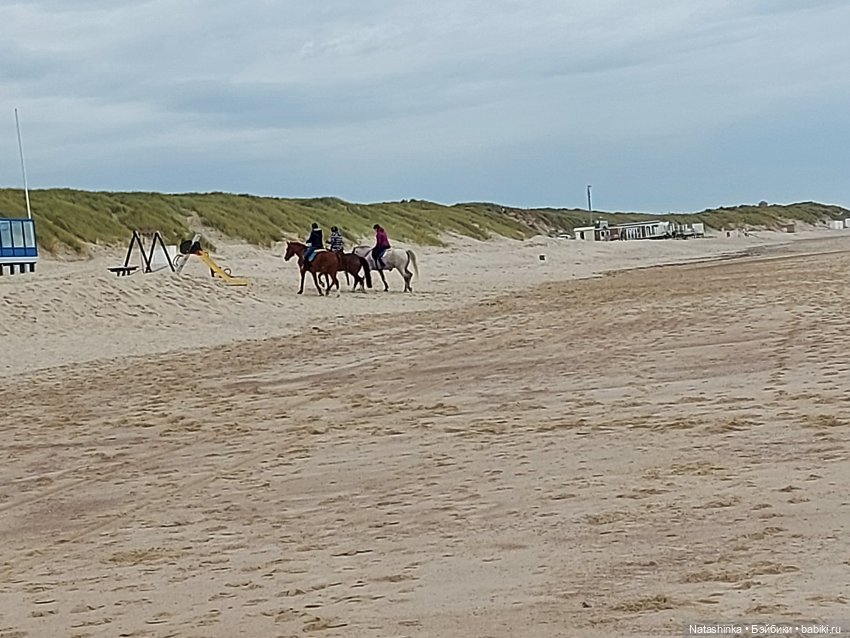 Fashion Dolls 125 — Куклы Звезды подиума (Angel Collection): шарнирные (фото 2)