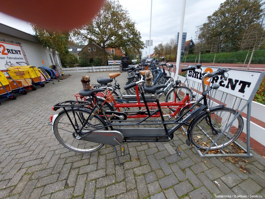 Fashion Dolls 125 — Куклы Звезды подиума (Angel Collection): шарнирные (фото 7)