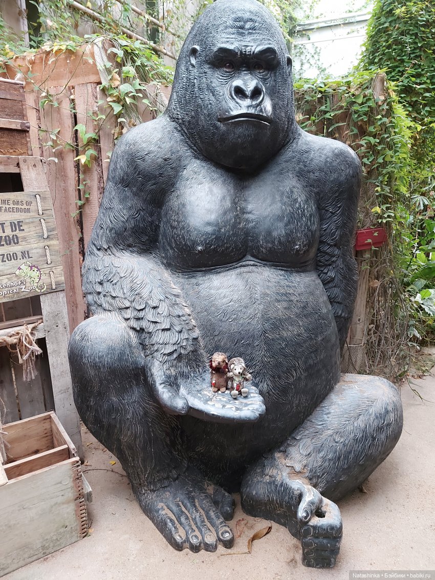 Fashion Dolls 126 — Куклы Звезды подиума (Angel Collection): шарнирные