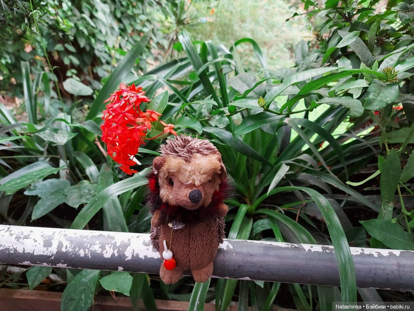 Fashion Dolls 126 — Куклы Звезды подиума (Angel Collection): шарнирные