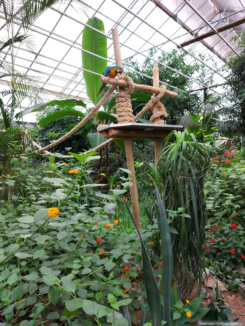 Fashion Dolls 126 — Куклы Звезды подиума (Angel Collection): шарнирные