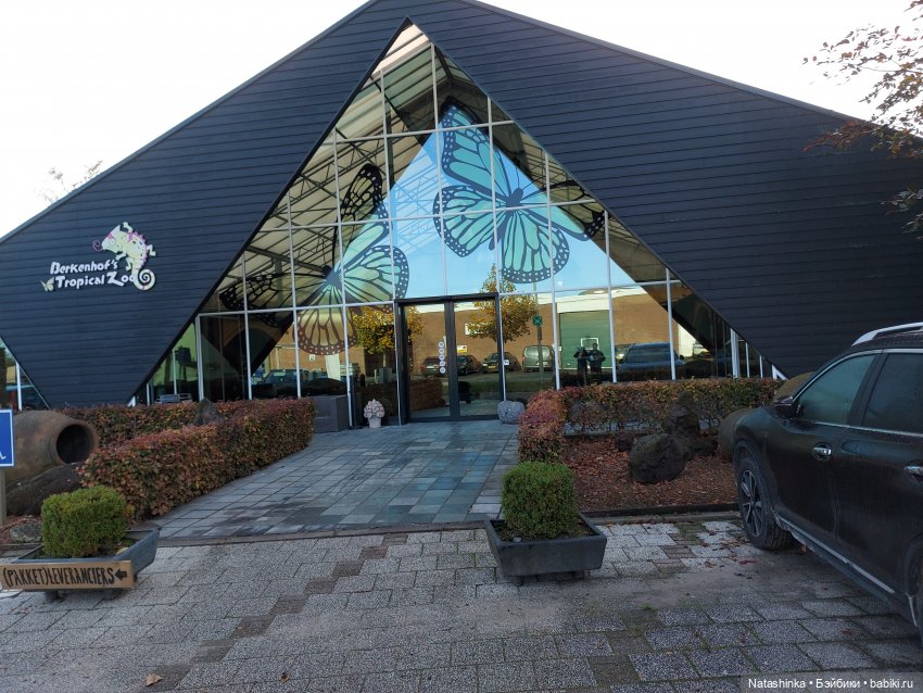 Fashion Dolls 126 — Куклы Звезды подиума (Angel Collection): шарнирные (фото 2)